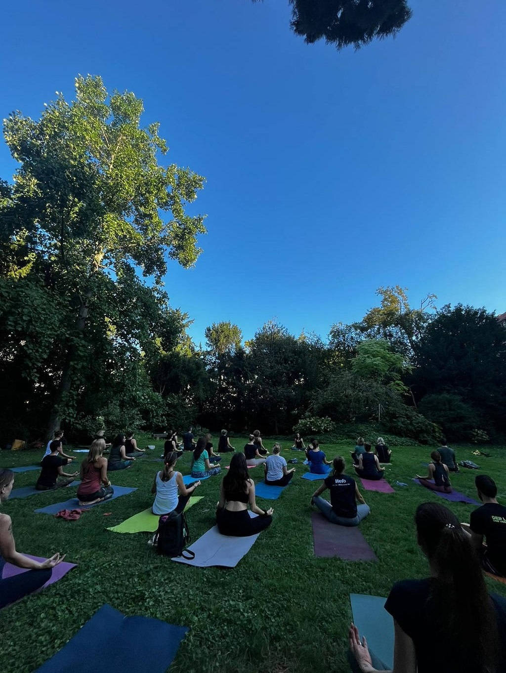 Niyama Yoga Basel wird 13 - Outdoor Yoga