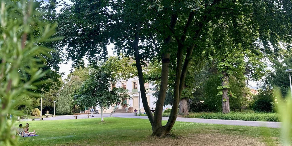 Outdoor Yoga im Sommer 2026 in Basel